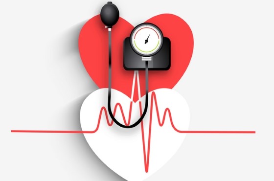 Řada studií prokazuje účinnost CBD při snižování krevního tlaku, což z kanabidiolu dělá potenciálně velmi dobrou metodu léčby kardiovaskulárních onemocnění; zdroj: c3a.org.sg